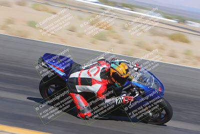 media/Nov-11-2023-SoCal Trackdays (Sat) [[efd63766ff]]/Turn 12 Inside (940am)/